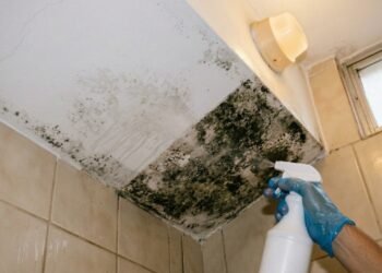 Muita gente passa água sanitária no teto do banheiro sem saber que esse líquido barato de farmácia elimina a raiz do mofo escuro em 15 minutos