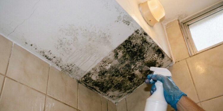 Muita gente passa água sanitária no teto do banheiro sem saber que esse líquido barato de farmácia elimina a raiz do mofo escuro em 15 minutos