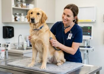 Mais saúde e tranquilidade: 5 sinais de que seu pet está precisando de um check-up