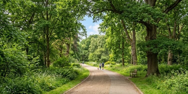 Cientistas explicam por que caminhar perto de árvores ou em parques limpa as vias aéreas muito mais do que andar na esteira da academia