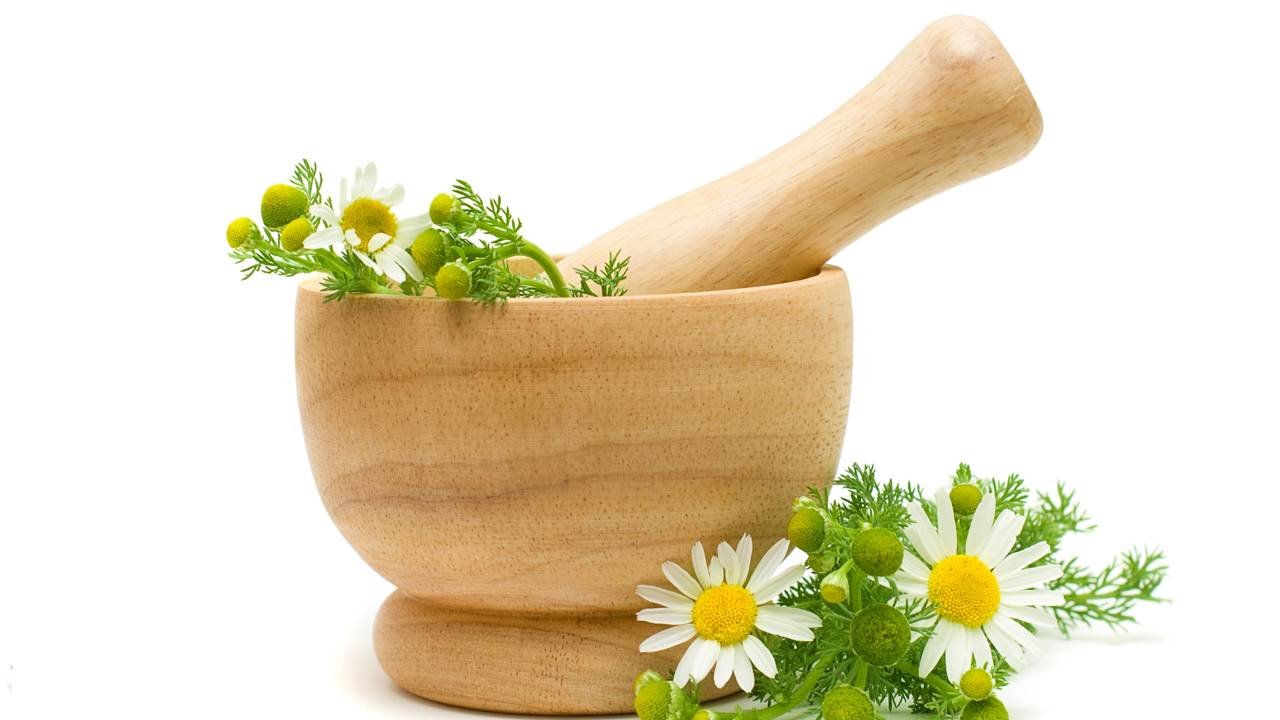 Chás calmantes para relaxar