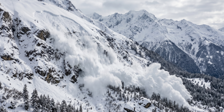 Provérbio indiano do dia: “Nenhum floco de neve se sente responsável pela avalanche.”
