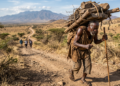 Provérbio africano para refletir: “Quem carrega o ego como coroa acaba cansando antes de chegar ao destino”. Ensinamentos sobre orgulho, humildade e por que ouvir mais pode evitar perdas difíceis de reparar