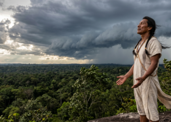 Provérbio indígena do dia: “Quem escuta o vento aprende a perceber a mudança antes da tempestade”, por isso a intuição pode proteger quando o mundo dá sinais silenciosos