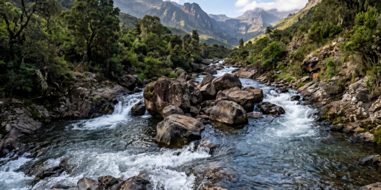 Provérbio africano do dia: “O rio nunca esquece sua nascente, por isso encontra força para seguir mesmo quando as pedras tentam impedir seu caminho.”