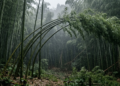 Provérbio japonês do dia: “o bambu que enverga ao vento não quebra na primeira tempestade”.