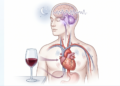 O que o vinho faz na pressão arterial e no sono