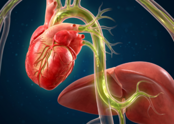 O que o consumo de azeite faz na saúde cardiovascular e fígado