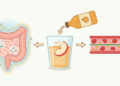 O que a água com vinagre de maçã em jejum faz no intestino e na glicose
