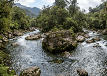 O antigo provérbio chinês que diz que a água nunca discute com a pedra, mas sempre encontra um caminho, ensina por que insistir do jeito errado desgasta mais do que recuar