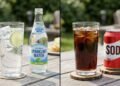 Qual é a diferença entre água com gás e refrigerante que poucos sabem