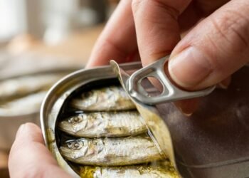 Nutricionistas recomendam: comer sardinha 2 vezes por semana pode ser uma opção econômica para uma rotina saudável