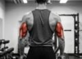 Exercícios para tríceps em casa sem equipamento