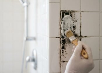 Como tirar mofo da parede do banheiro sem água sanitária nem vinagre
