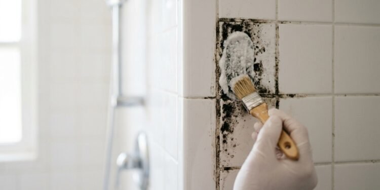 Como tirar mofo da parede do banheiro sem água sanitária nem vinagre