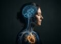 A conexão entre o cérebro e o coração: como as emoções impactam a saúde cardiovascular