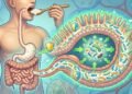 Alimentos que ajudam o intestino a funcionar melhor e muita gente ainda esquece de colocar no prato