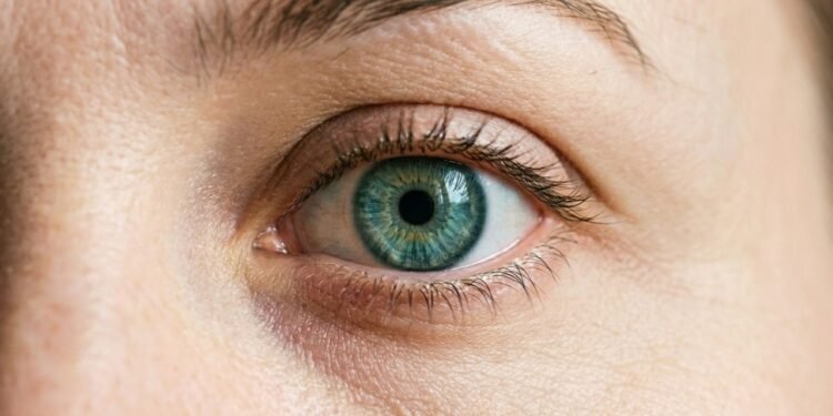 Os nutrientes mais estudados para a visão: como eles agem e em quais situações o oftalmologista costuma avaliar cada um