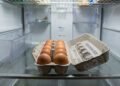 Rápido para a geladeira: a caixa de ovos tem uma função genial que muita gente desconhece