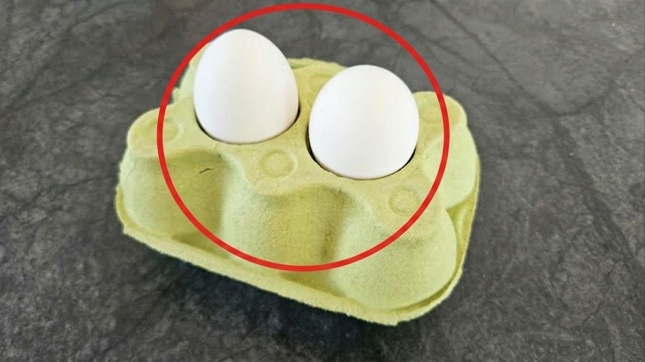 Rápido para a geladeira: a caixa de ovos tem uma função genial que muita gente desconhece