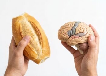 O que acontece no cérebro e no humor quando o pão francês é consumido em excesso diariamente