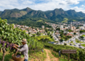 A 3ª melhor cidade para morar produz 30% da uva de São Paulo e tem uma serra tombada pela Unesco