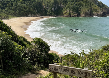 Uma praia secreta tão preservada que ainda é possível admirar golfinhos no RS com praias azuis e Mata Atlântica selvagem
