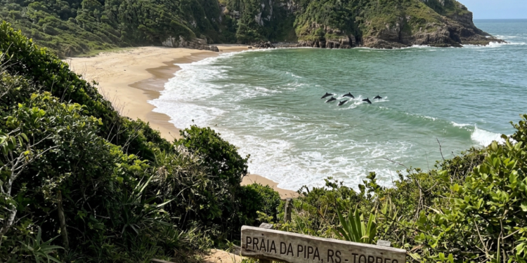 Uma praia secreta tão preservada que ainda é possível admirar golfinhos no RS com praias azuis e Mata Atlântica selvagem