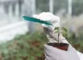 Estudo revela o que os agrotóxicos podem fazer à saúde e ao meio ambiente