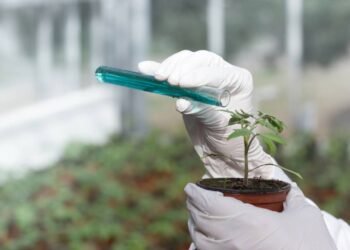 Estudo revela o que os agrotóxicos podem fazer à saúde e ao meio ambiente