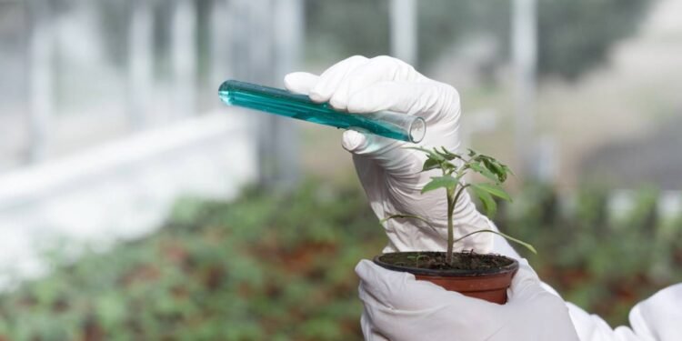 Como reduzir a exposição a agrotóxicos e proteger a saúde de forma simples -Créditos: depositphotos.com / budabar