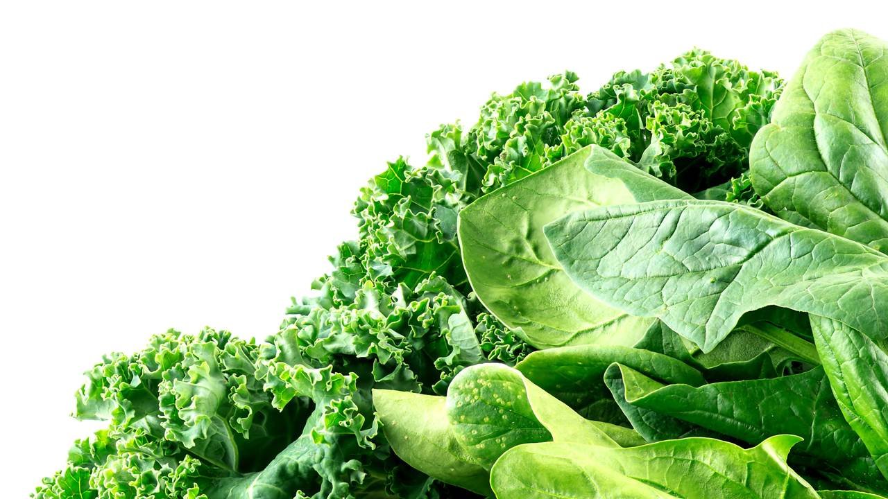 alimentos ricos em ferro
