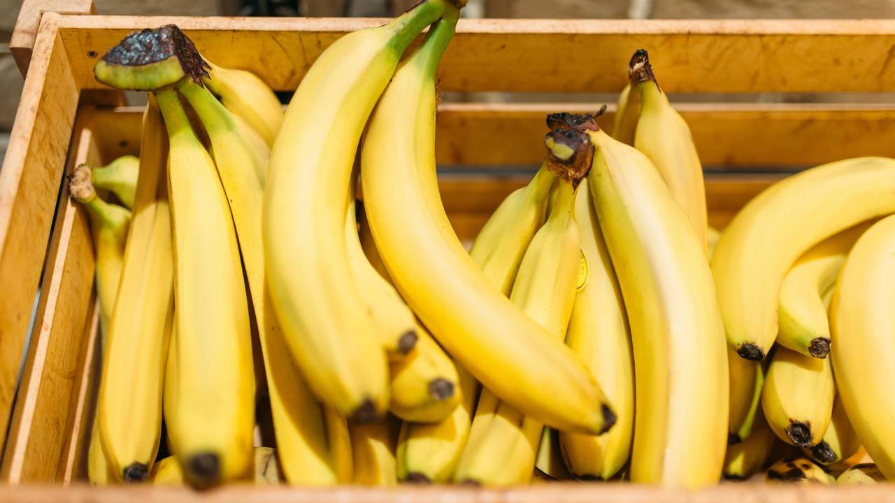 planta onde nasce banana