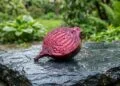 benefícios de comer beterraba