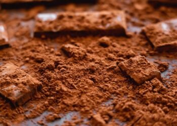 O benefício mais surpreendente do cacau que melhora o raciocínio e a oxigenação