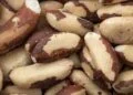 Comer duas castanhas-do-pará antes de trabalhar é o método exato para blindar a tireoide e dar energia ao organismo