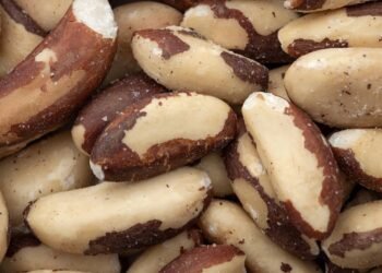 Comer duas castanhas-do-pará antes de trabalhar é o método exato para blindar a tireoide e dar energia ao organismo