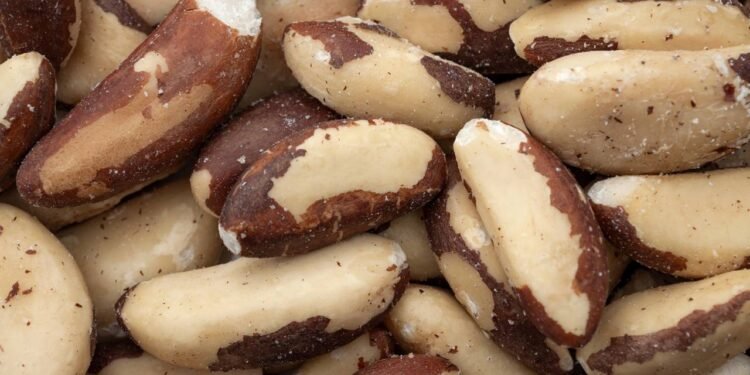 Comer duas castanhas-do-pará antes de trabalhar é o método exato para blindar a tireoide e dar energia ao organismo