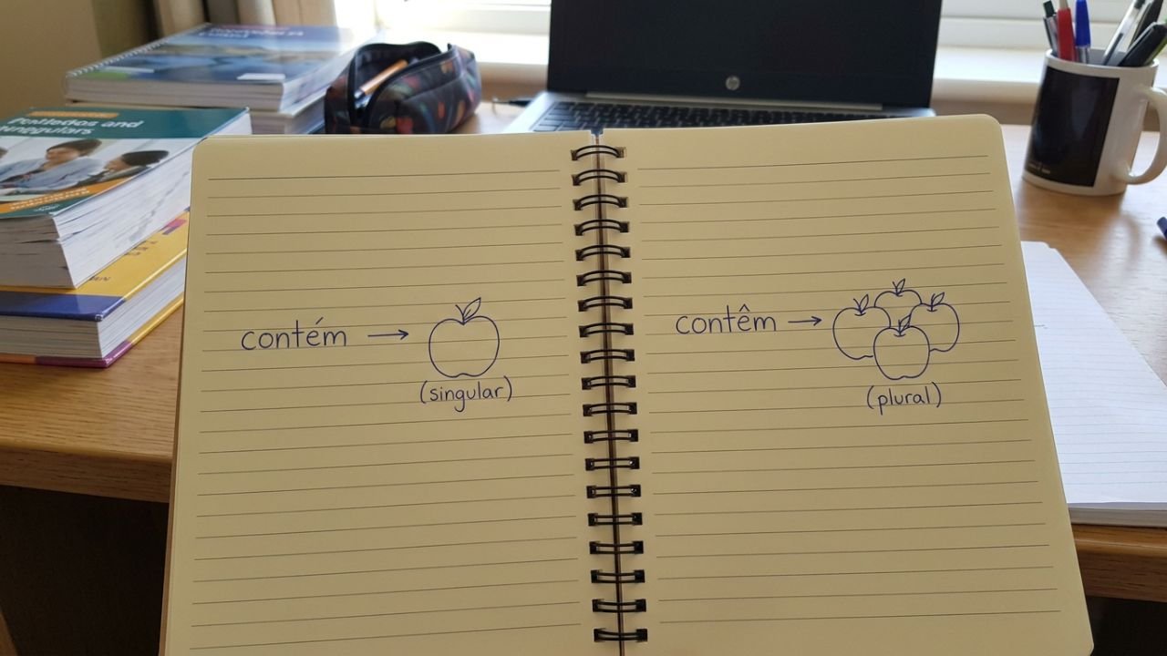 contém ou contêm