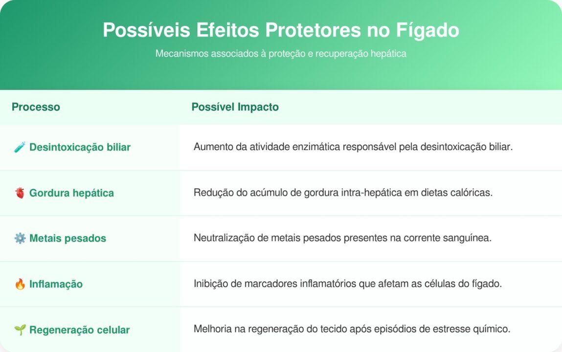 O que o consumo de alho faz no fígado e na saúde cardiovascular