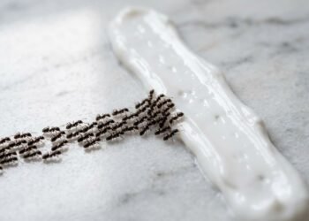creme corporal repelente