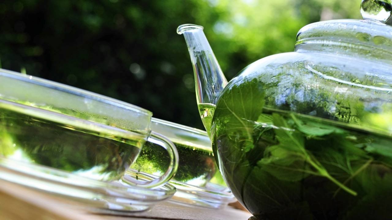 Chás calmantes para relaxar