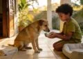Estudos comprovam que crianças que conviviam diariamente com animais de estimação estavam desenvolvendo níveis muito mais altos de empatia