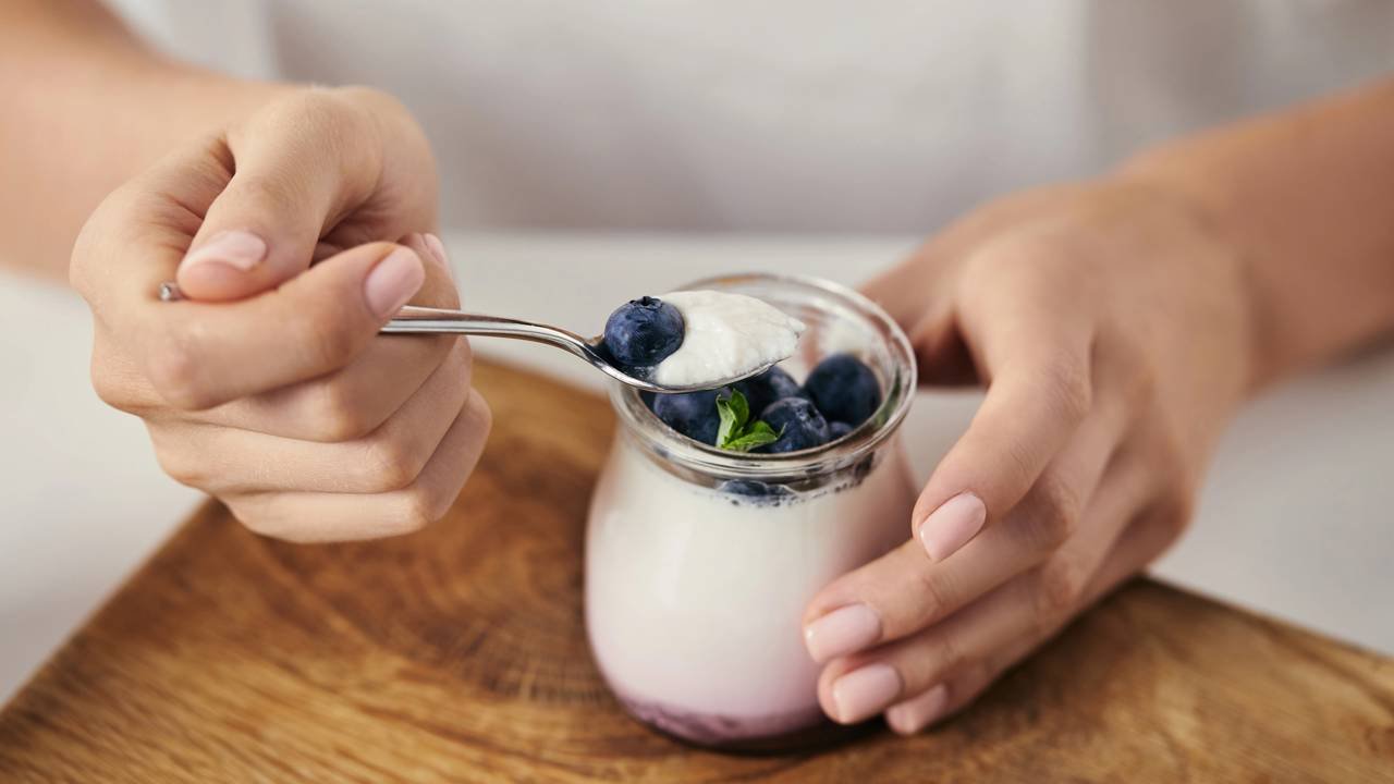 proteínas amigas do intestino
