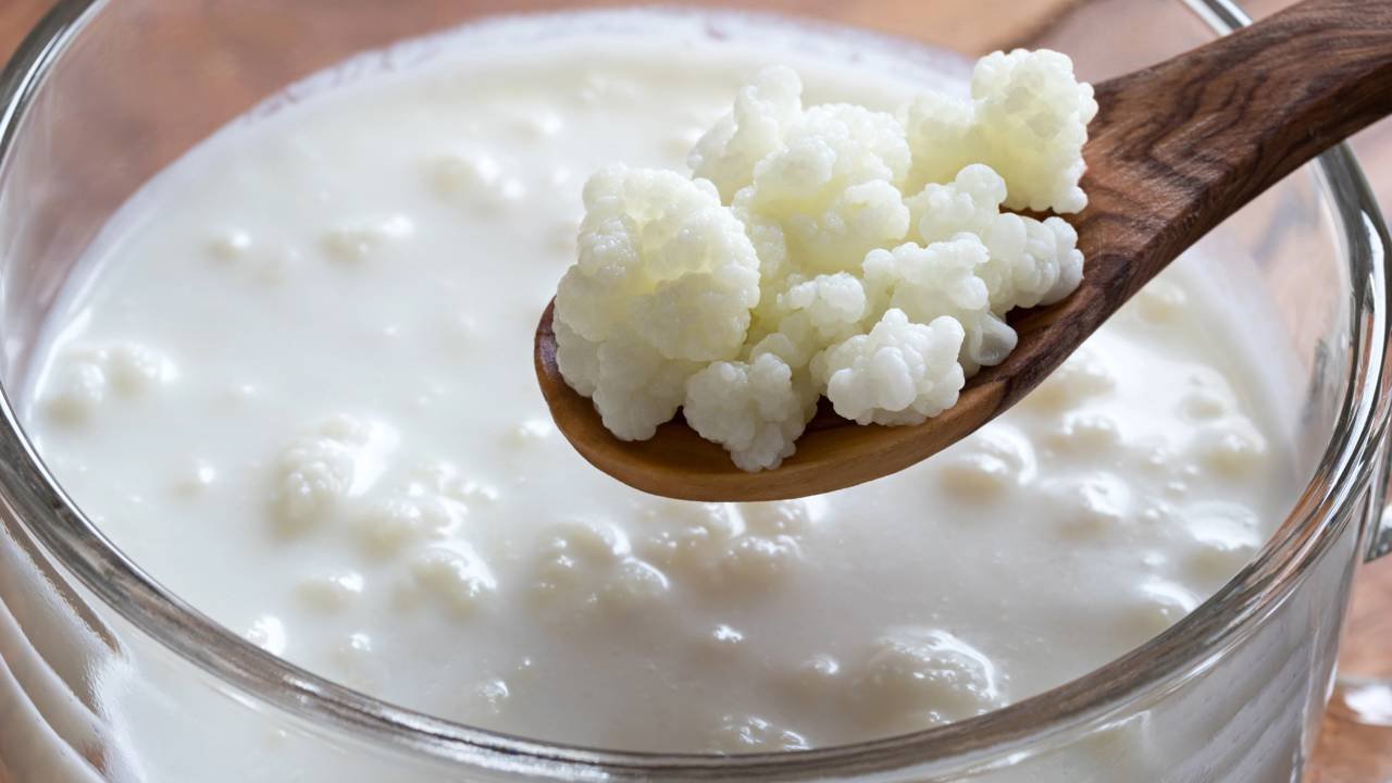 alimentos para flora intestinal 