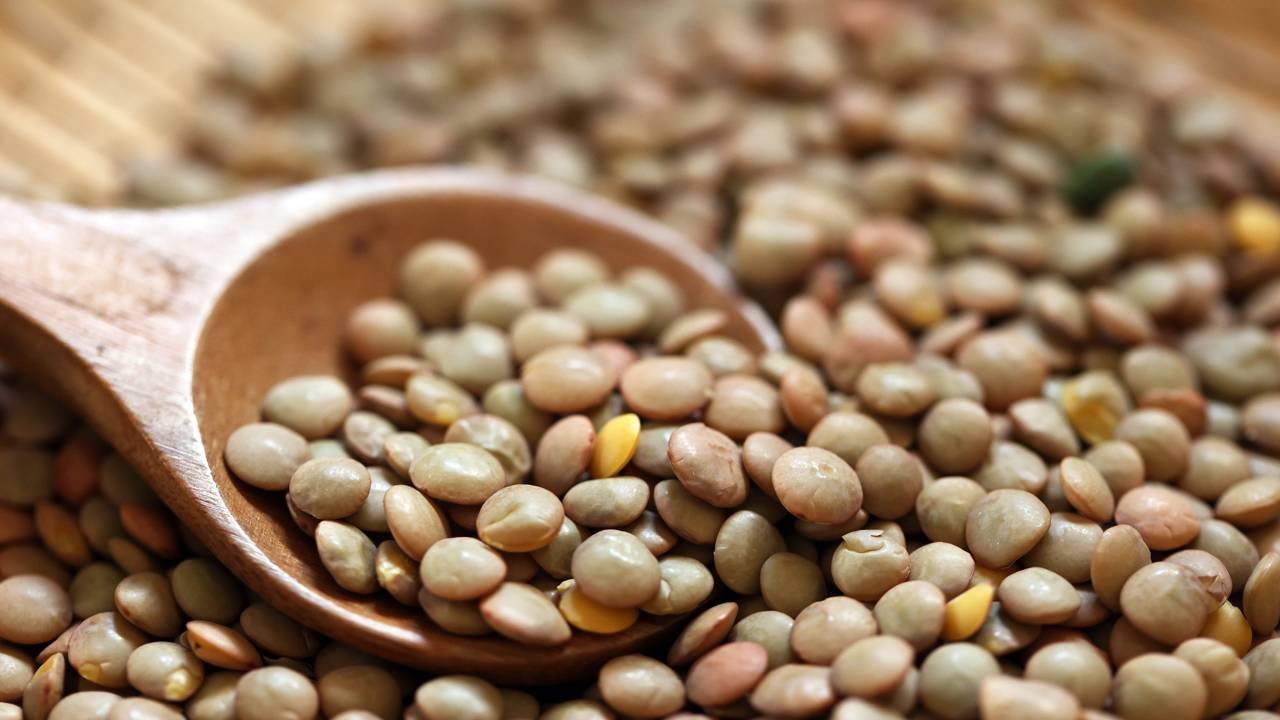 alimentos com proteína