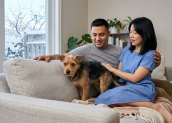 O cachorro ciumento que disputa atenção o tempo todo, como lidar sem piorar a convivência em casa