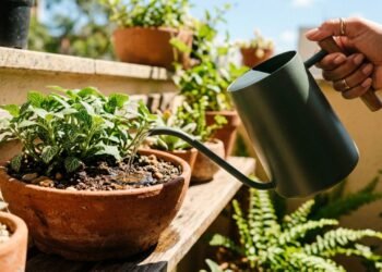 regar plantas no frio
