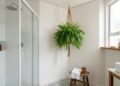 Paisagistas revelam a planta exata que você deve pendurar no canto do banheiro para sugar a umidade do chuveiro e impedir mofo na pintura