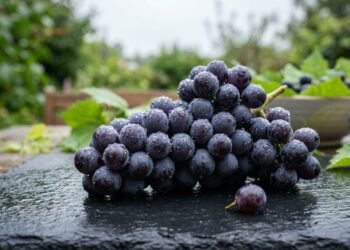 benefícios do consumo de uvas